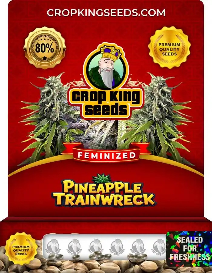 Pineapple Trainwreck Feminized Seeds