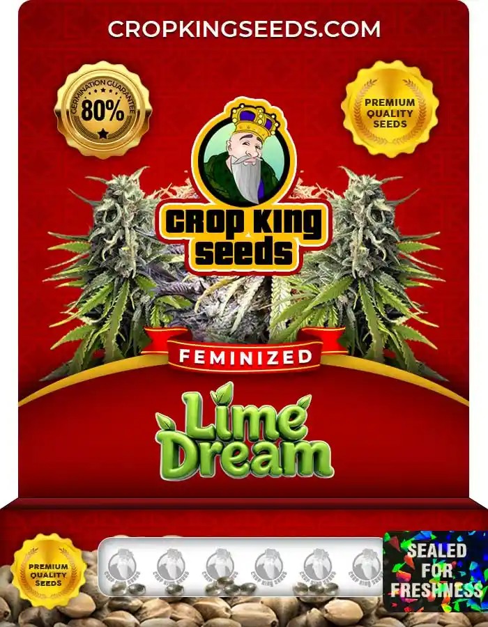 Lime Dream Strain Feminized Seeds