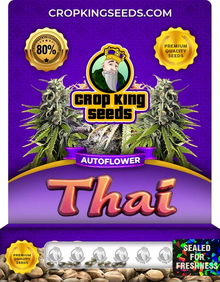 Thai Autoflower Marijuana Seeds