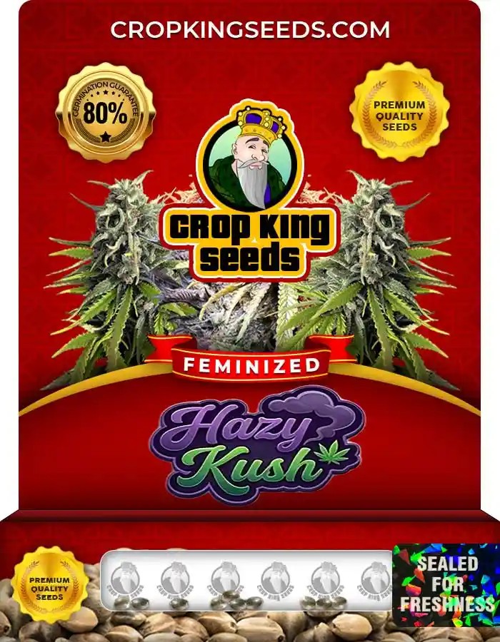 Hazy Kush Feminized Marijuana Seeds