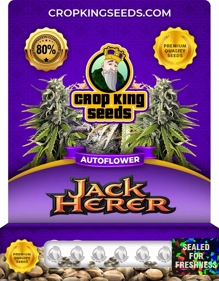 Jack Herer Autoflower Marijuana Seeds