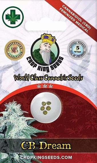 CB Dream Strain Marijuana Seeds