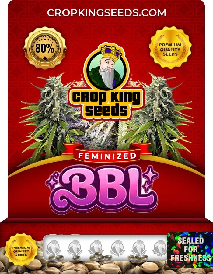 Bbl Strain Feminized Seeds