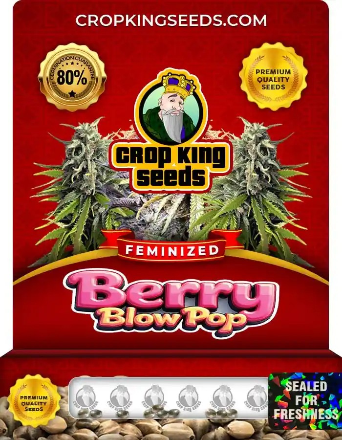 Berry Blow Pop Feminized Seeds