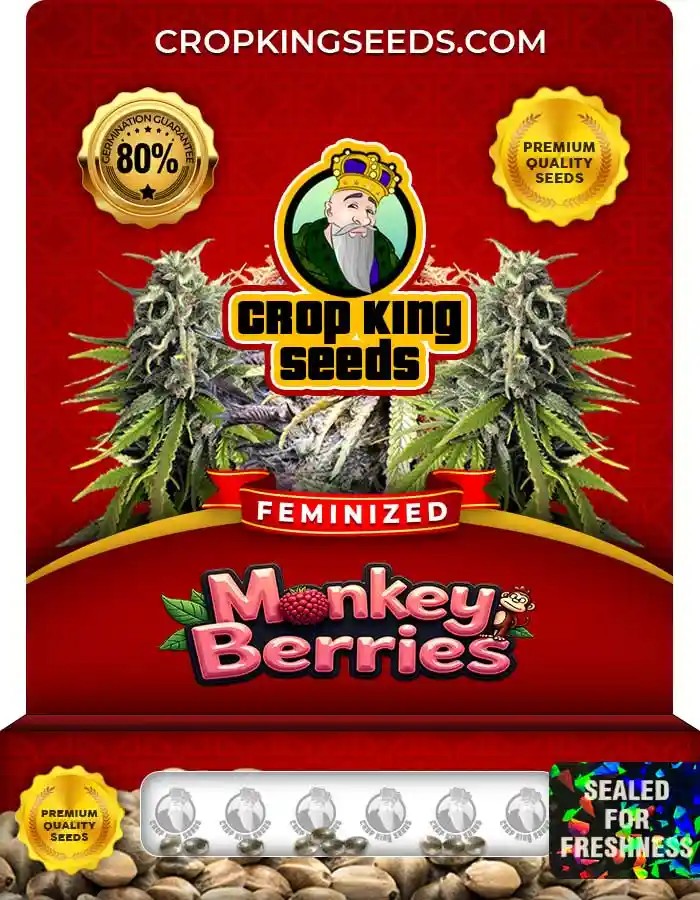Monkey Berries Strain Feminized Marijuana Seeds