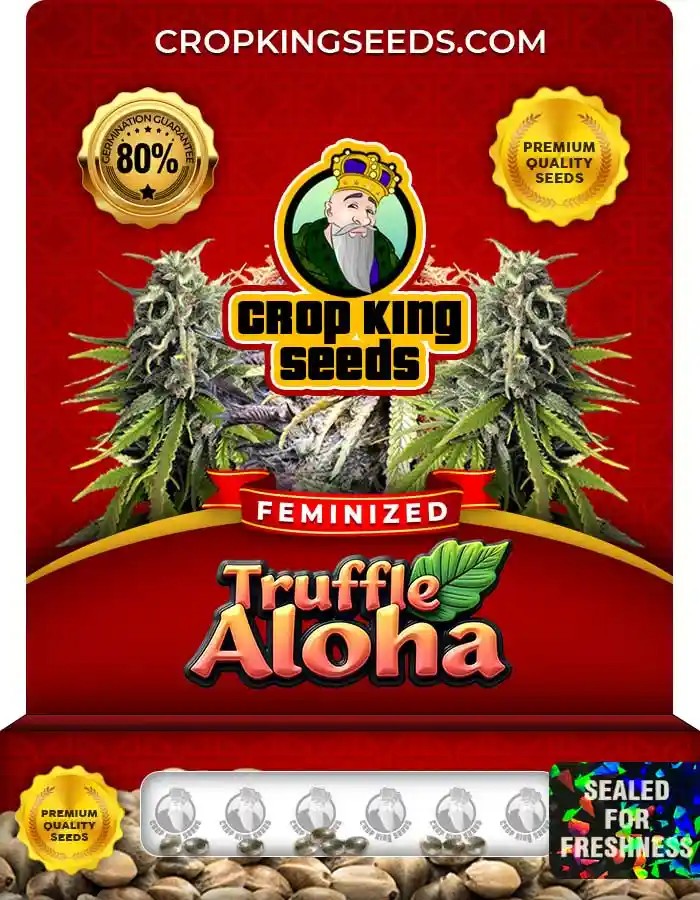 Truffle Aloha Strain Feminized Marijuana Seeds