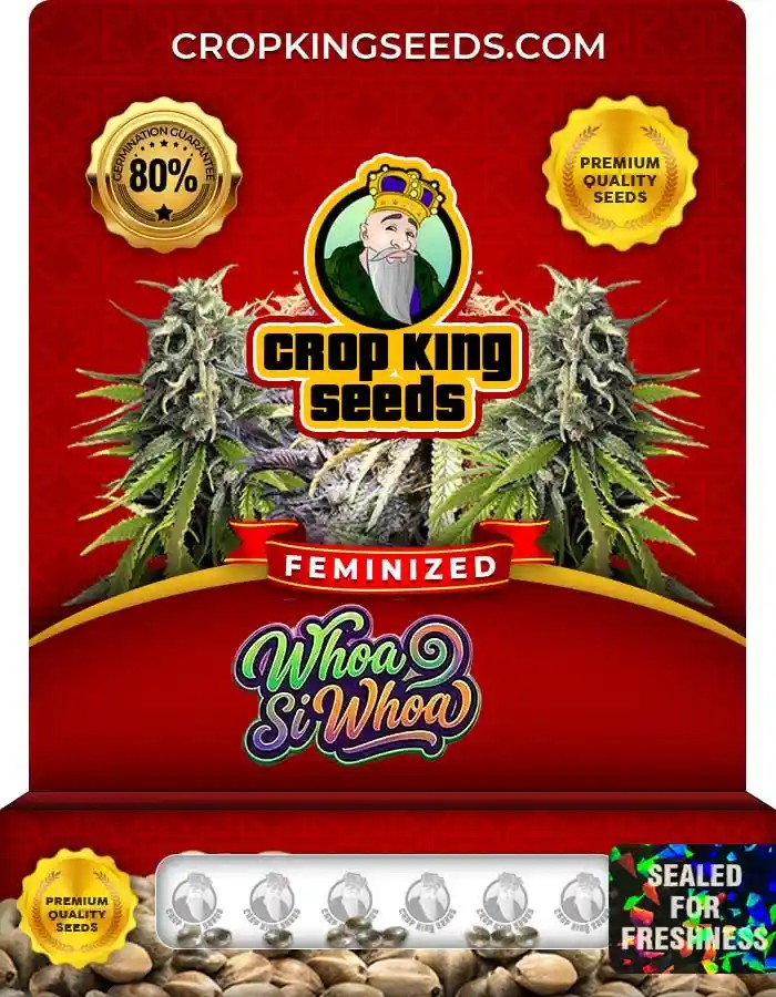 Whoa Si Whoa Strain Feminized Marijuana Seeds