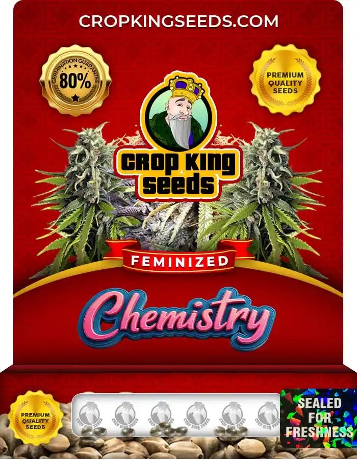 Chemistry Strain Feminized Marijuana Seeds