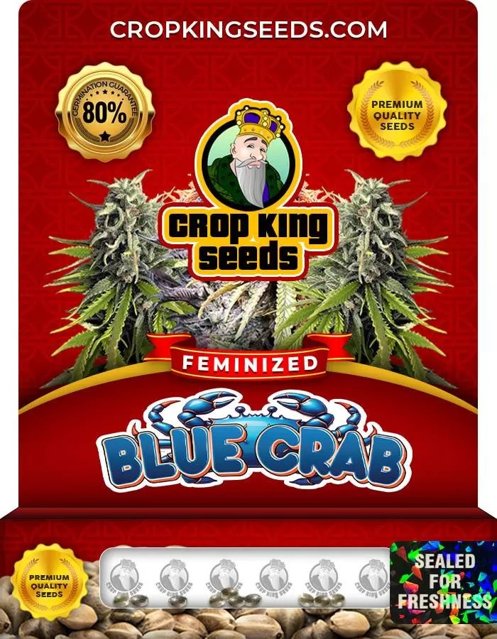 Blue Crab Feminized Seeds