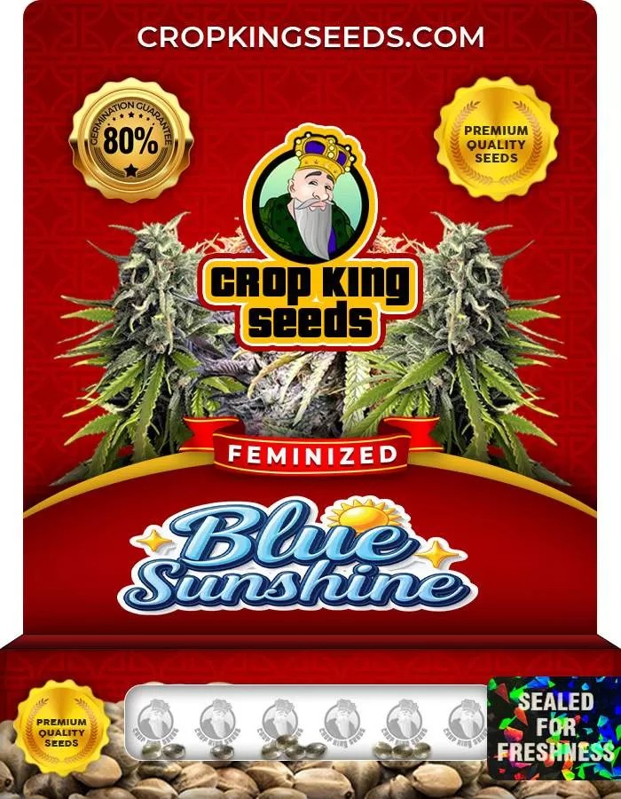 Blue Sunshine Feminized Seeds