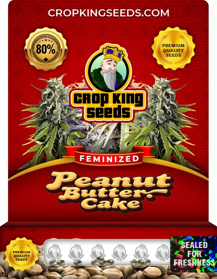 Peanut Butter Cake Feminized Marijuana Seeds