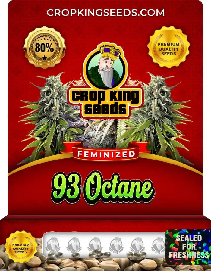 93 Octane Feminized Seeds