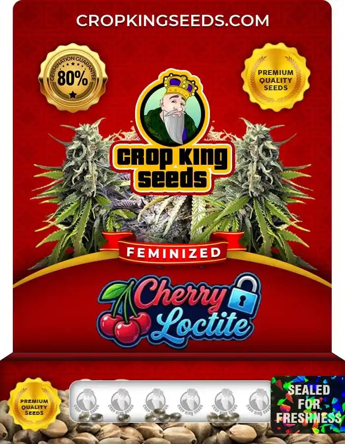 Cherry Loctite Strain Feminized Seeds