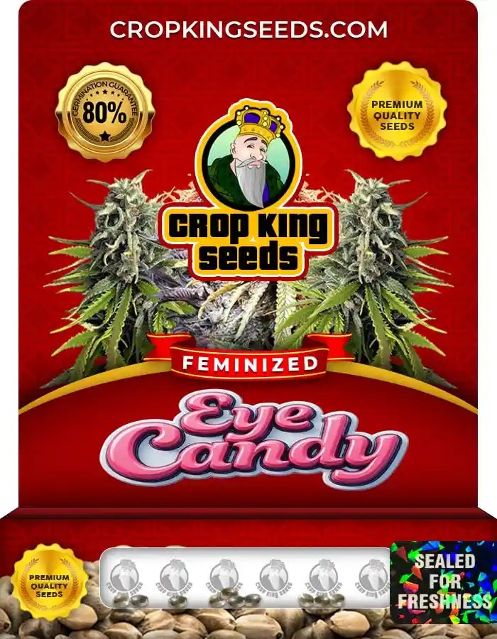 Eye Candy Strain Feminized Marijuana Seeds