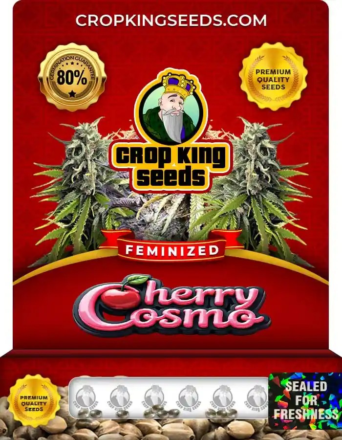 Cherry Cosmo Strain Feminized Marijuana Seeds