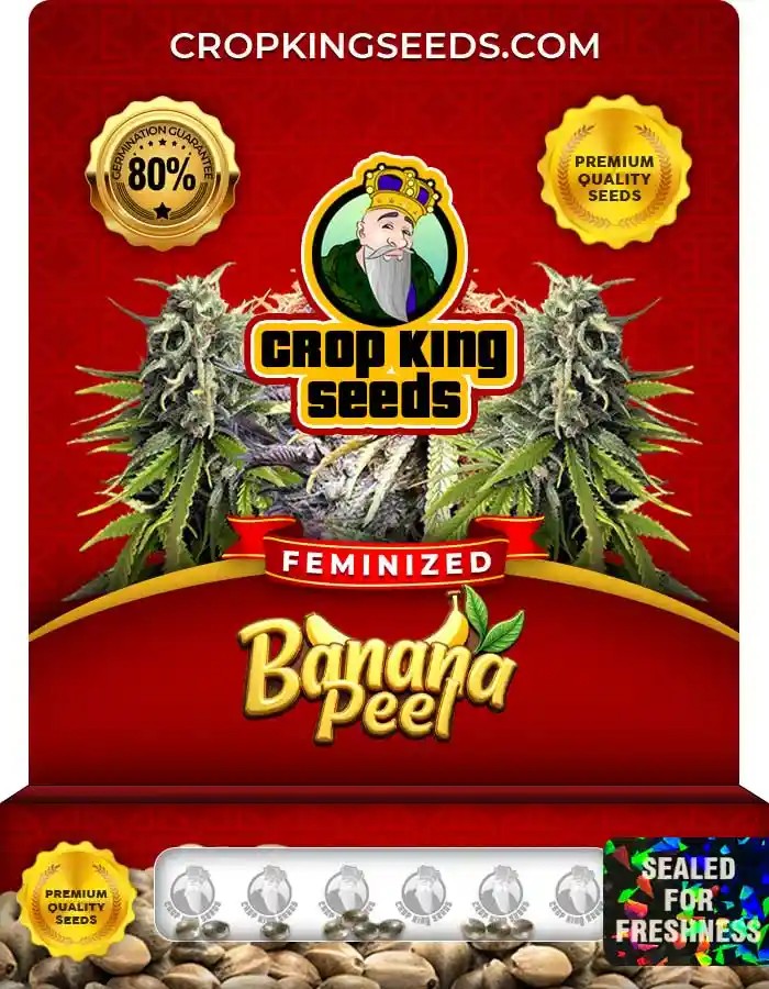 Banana Peel Feminized Seeds