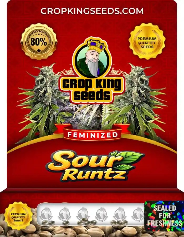 Sour Runtz Strain Feminized Marijuana Seeds