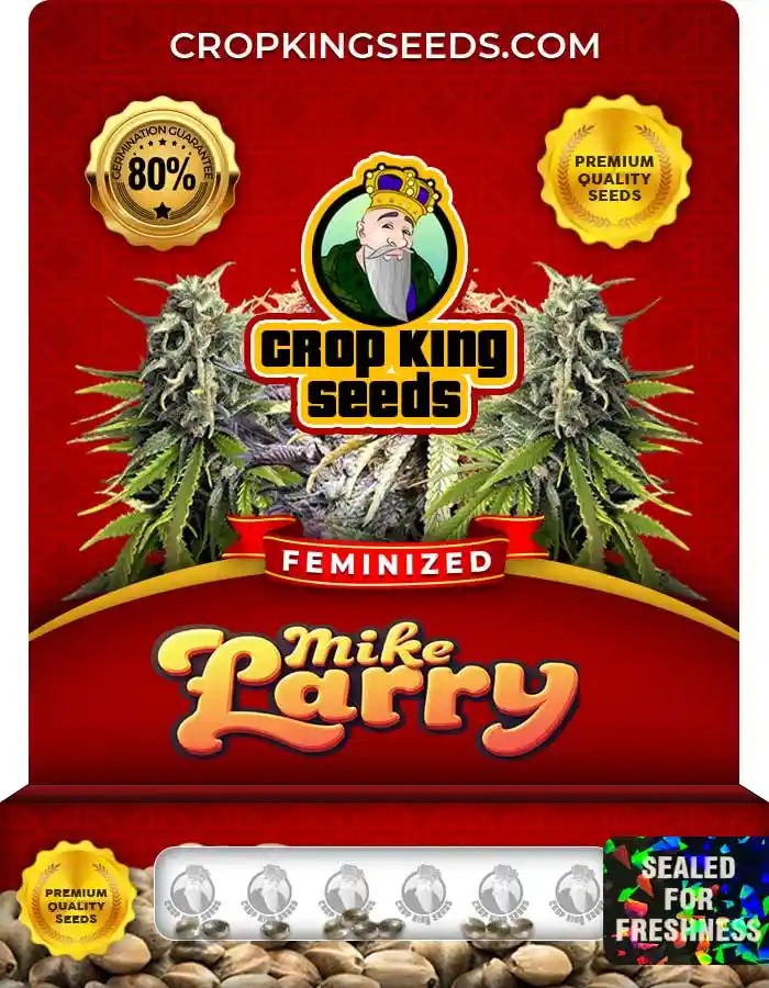 Mike Larry Strain Feminized Marijuana Seeds