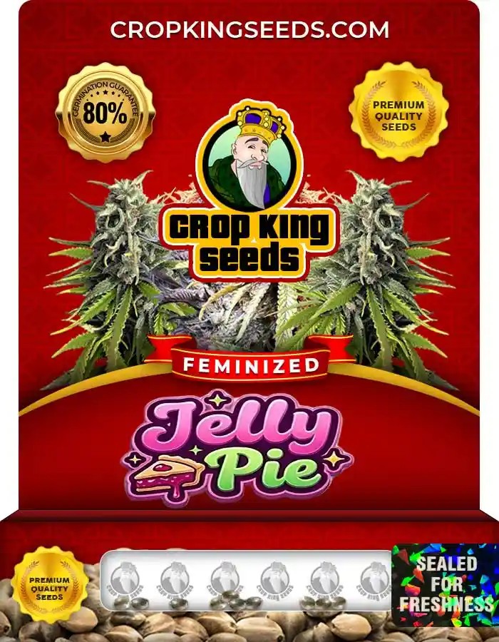 Jelly Pie Feminized Seeds