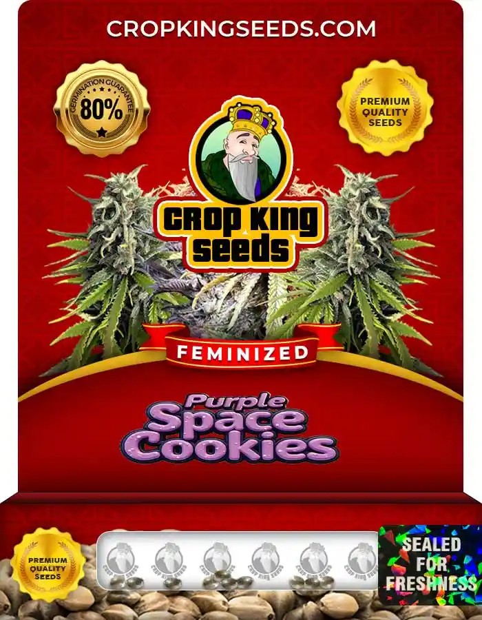 Purple Space Cookies Feminized Seeds