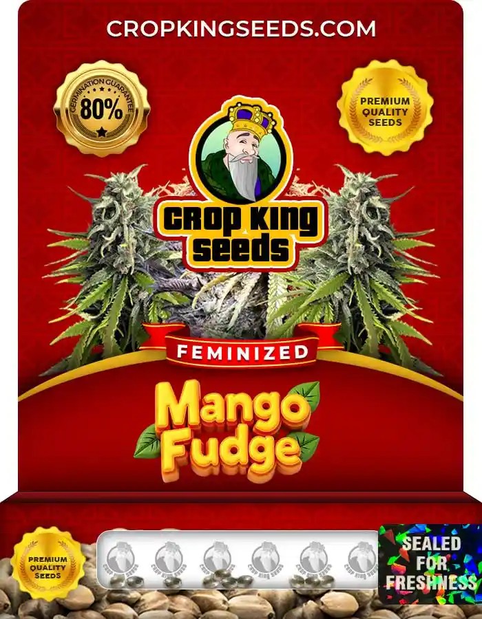 Mango Fudge Strain Feminized Seeds