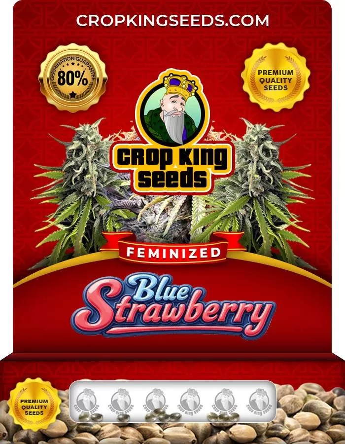 Blue Strawberry Feminized Seeds
