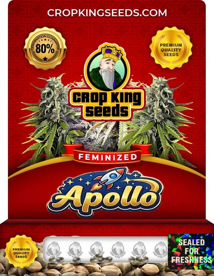 Apollo Strain Feminized Seeds