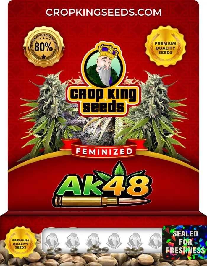 Ak48 Strain Feminized Seeds