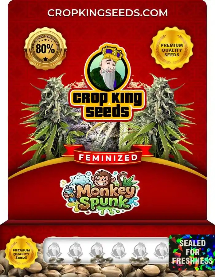 Monkey Spunk Strain Feminized Marijuana Seeds