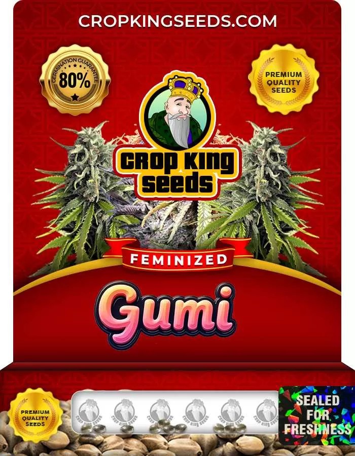 Gumi Feminized Seeds