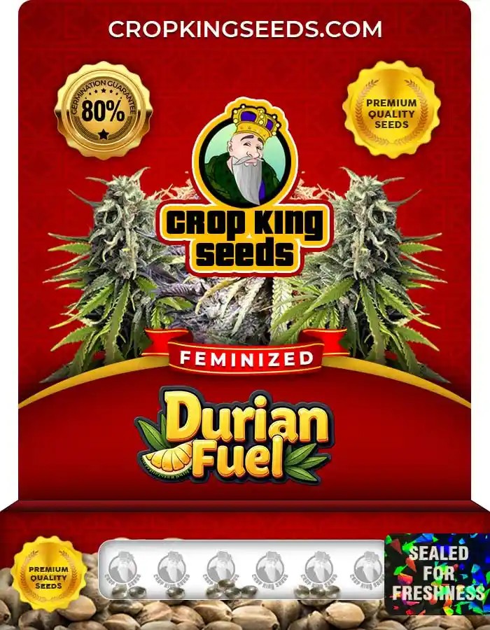 Durian Fuel Strain Feminized Seeds