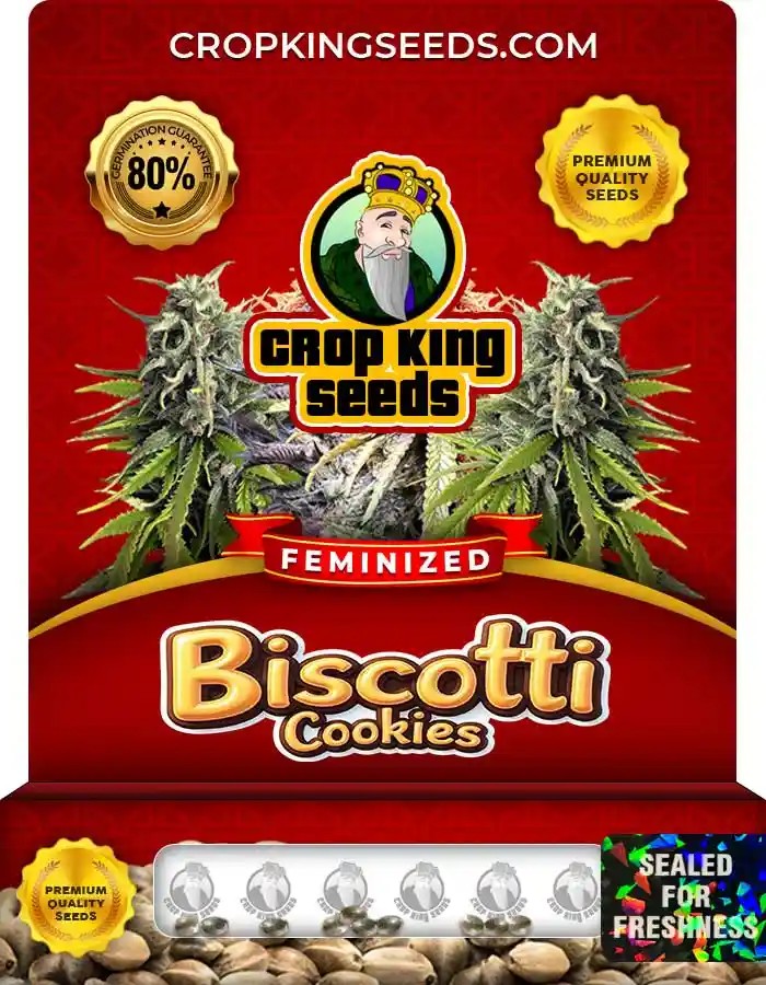 Biscotti Cookies Feminized Seeds