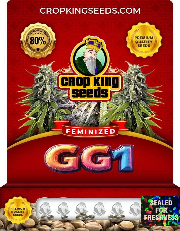 GG1 Feminized Seeds
