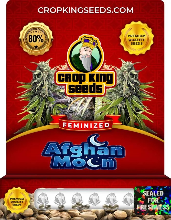 Afghan Moon Strain Feminized Seeds