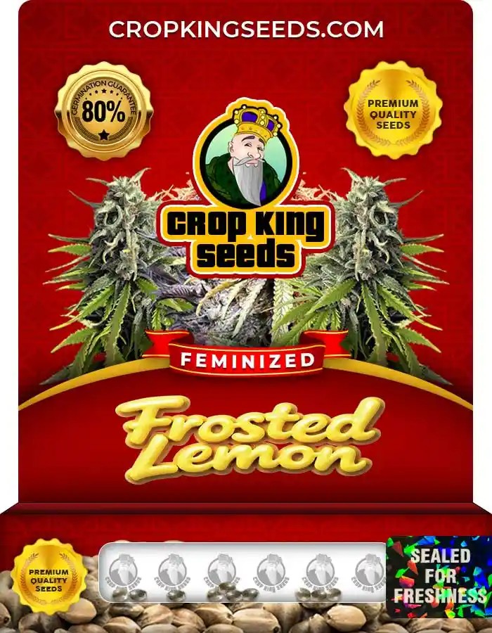 Frosted Lemon Feminized Seeds