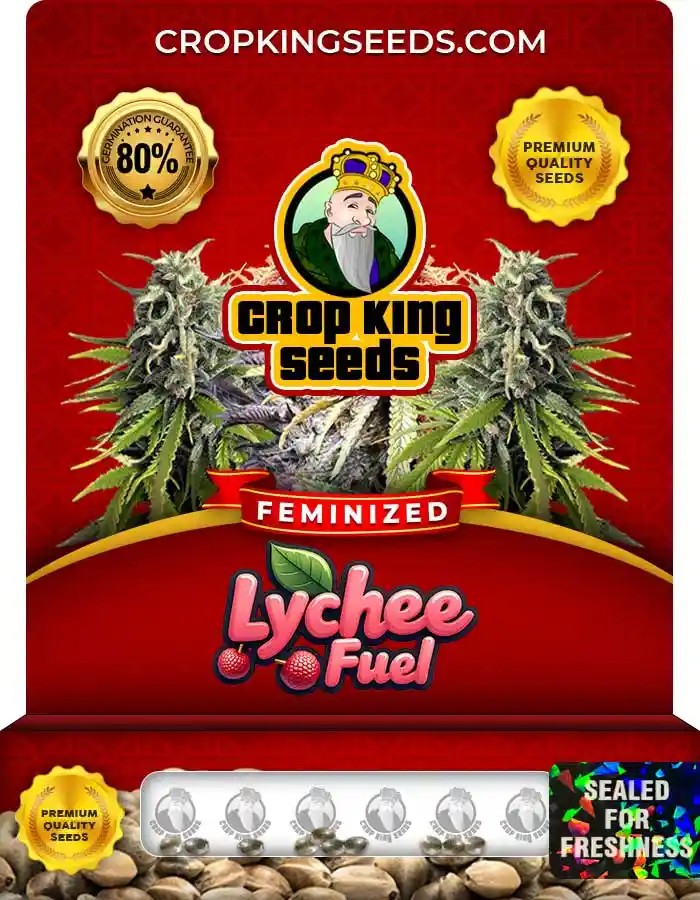Lychee Fuel Strain Feminized Seeds