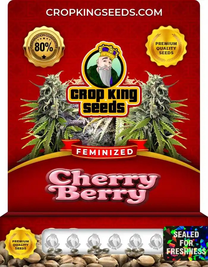 Cherry Berry Feminized Seeds