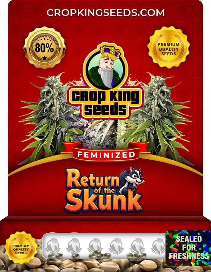 Return of the Skunk Strain Feminized Seeds