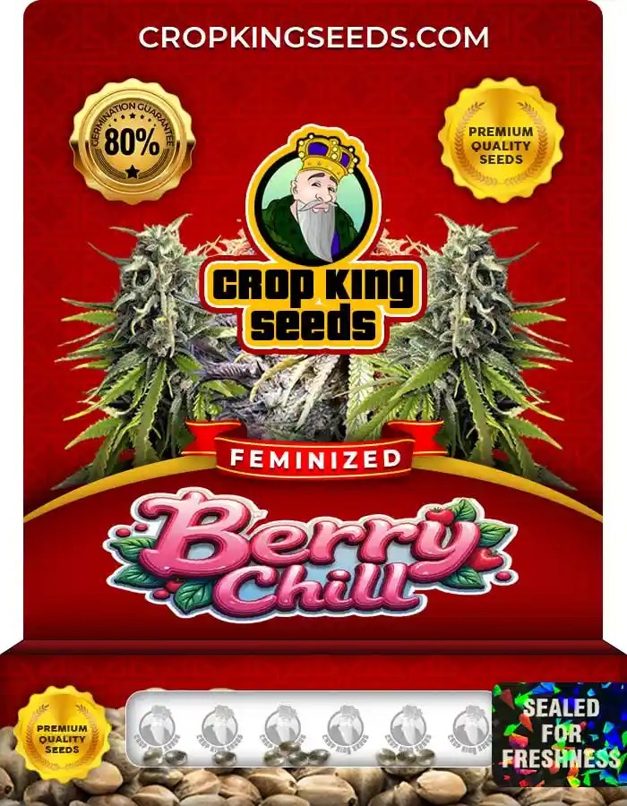 Berry Chill Feminized Seeds