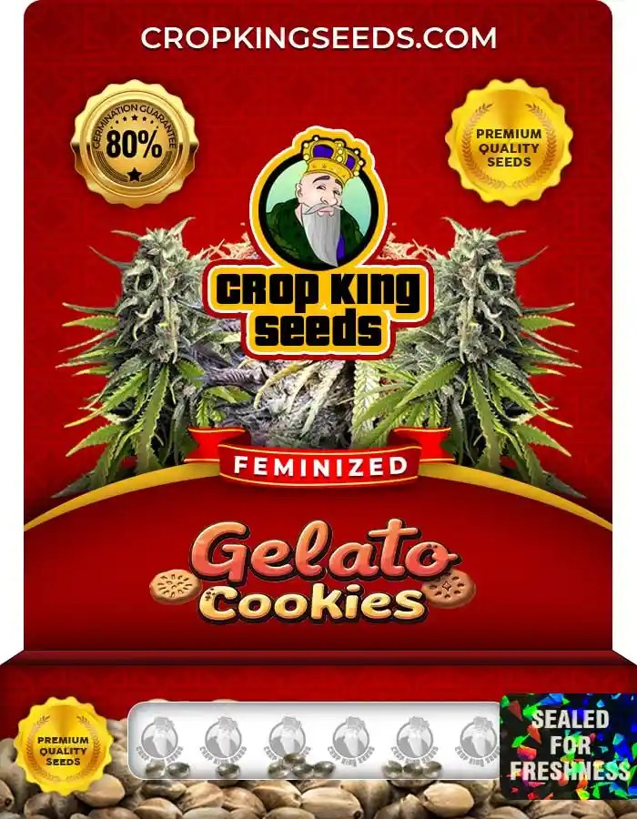 Gelato Cookies Strain Feminized Marijuana Seeds