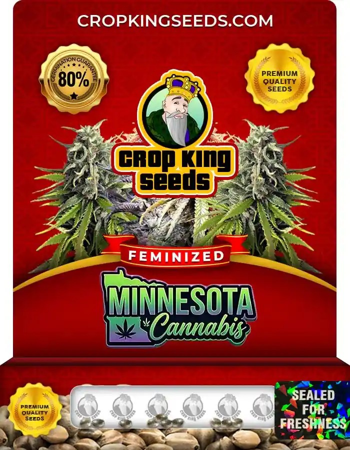 Minnesota Cannabis Strain Feminized Seeds