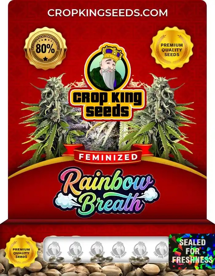 Rainbow Breath Feminized Seeds