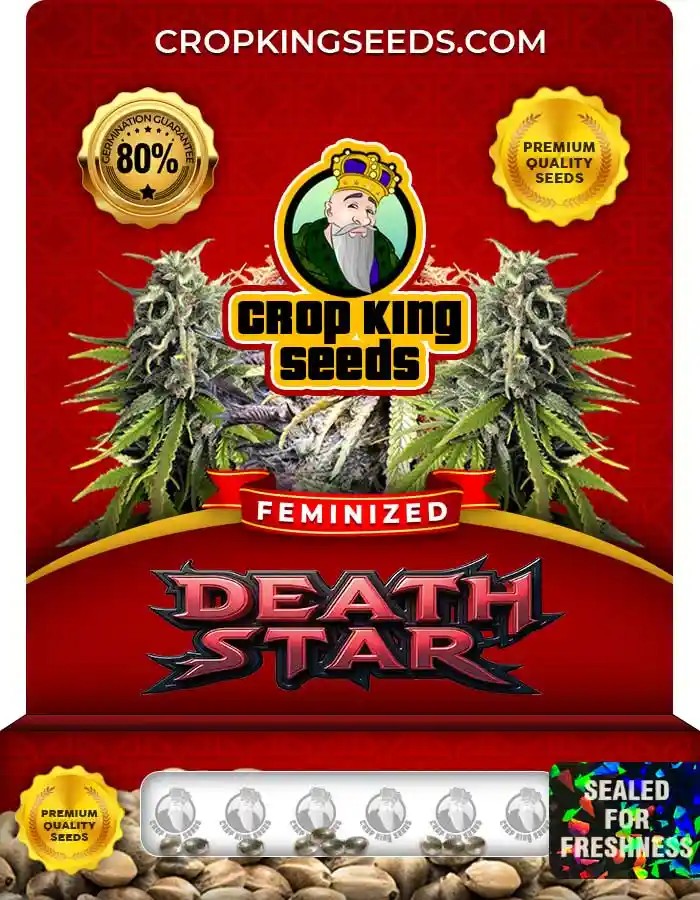 Death Star Strain Feminized Marijuana Seeds