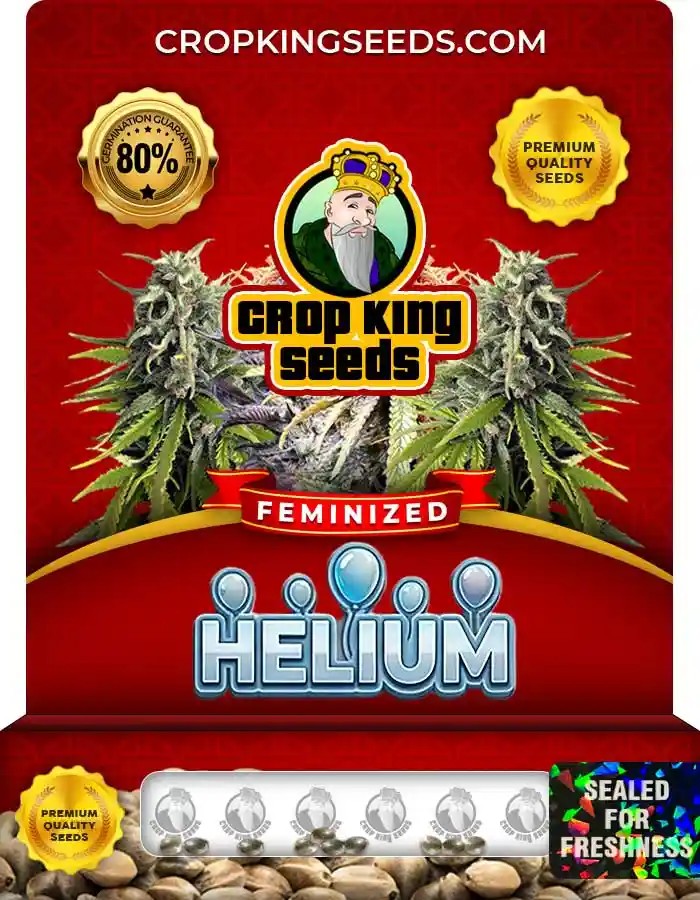 Helium Strain Feminized Seeds
