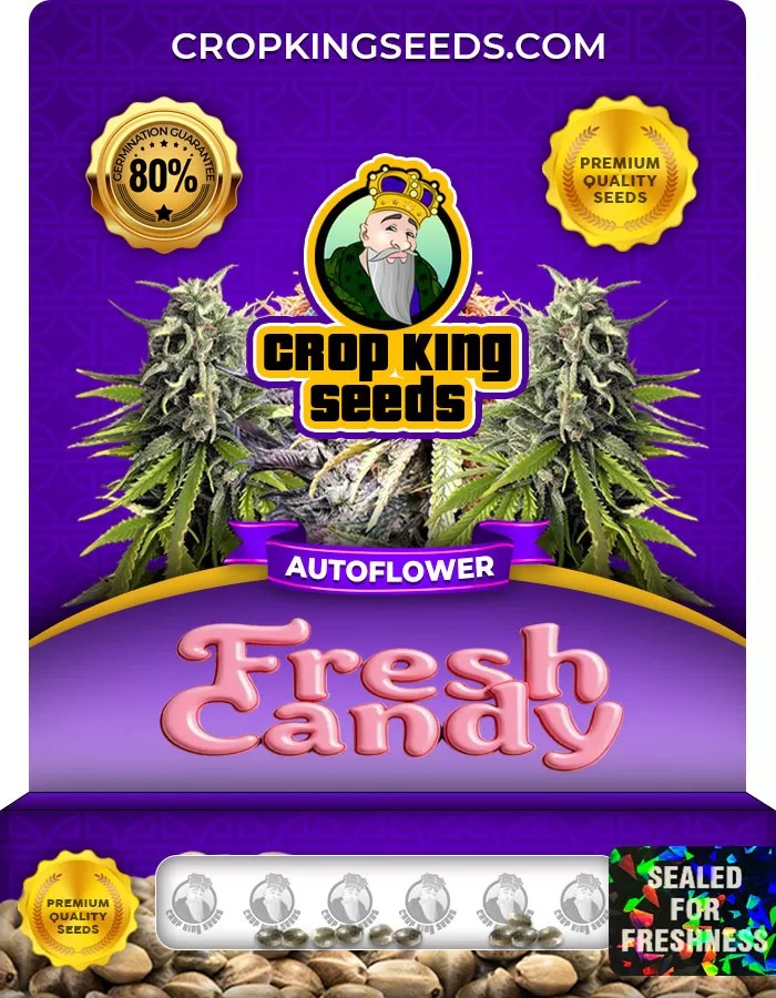 Fresh Candy Autoflower Marijuana Seeds