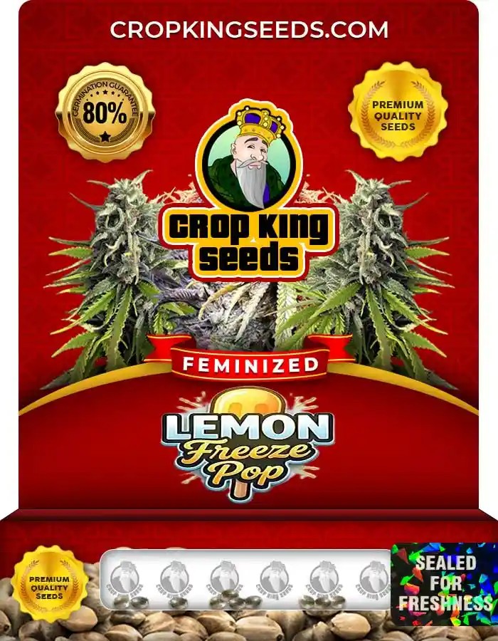 Lemon Freeze Pop Feminized Seeds