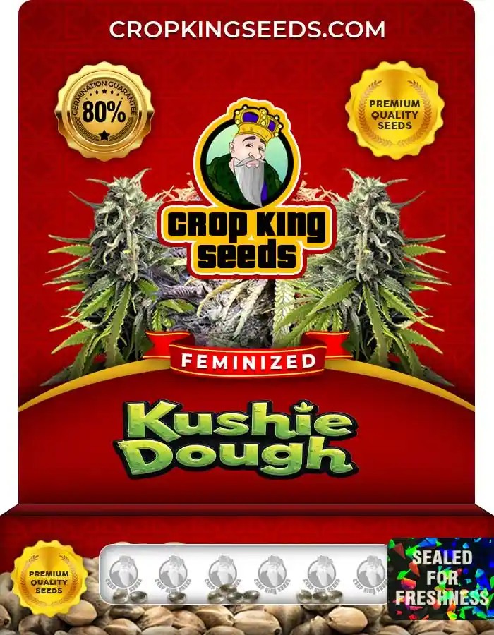 Kushie Dough Feminized Seeds