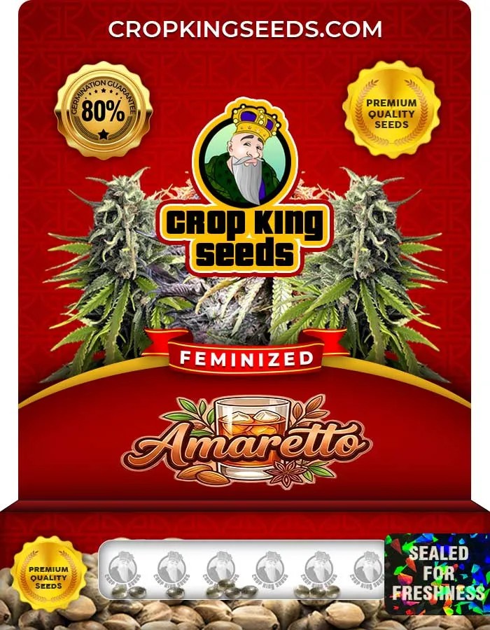 Amaretto Strain Feminized Seeds