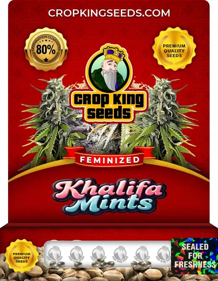 Khalifa Mints Strain Feminized Marijuana Seeds