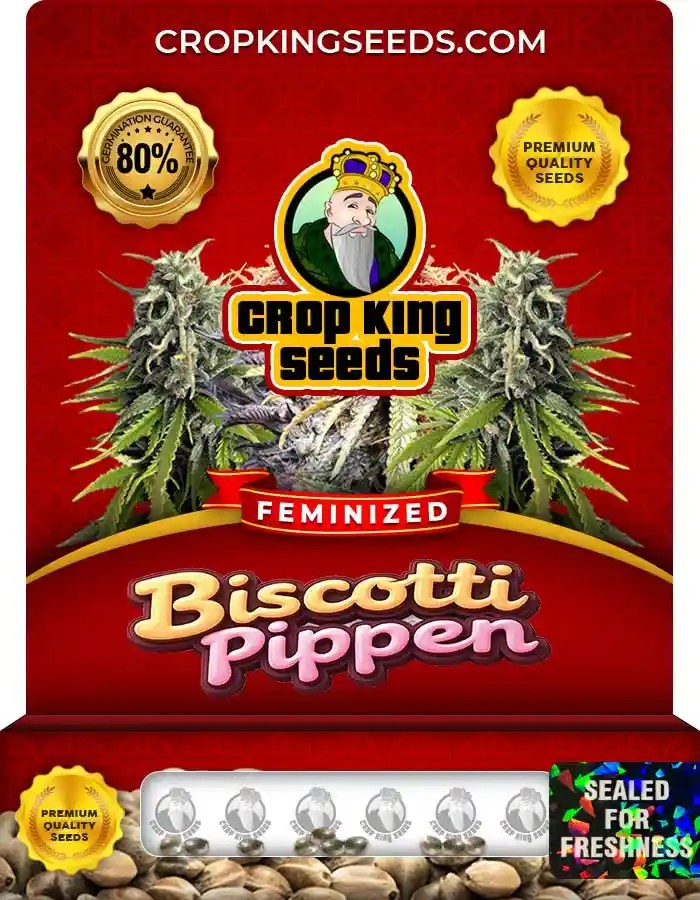 Biscotti Pippen Feminized Seeds